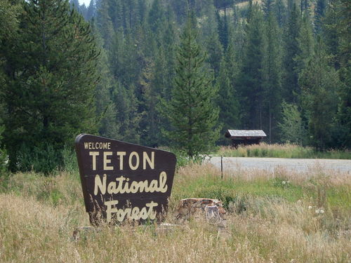 GDMBR: Entering the Teton National Forest.